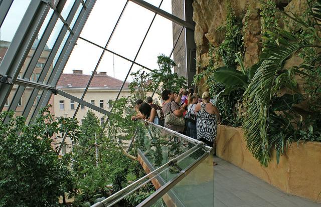 pályázat erdei iskola budapest